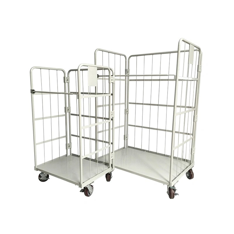 Roll cage (10)